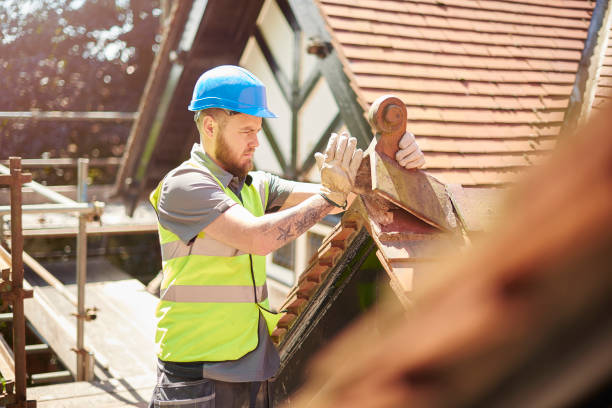 Roof Waterproofing Services in Carrizo Springs, TX