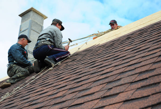 Professional Roofing Contractor in Carrizo Springs, TX